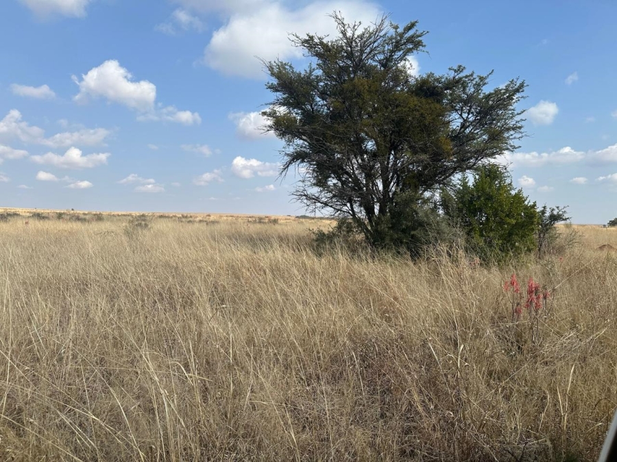 0 Bedroom Property for Sale in Lichtenburg Rural North West
